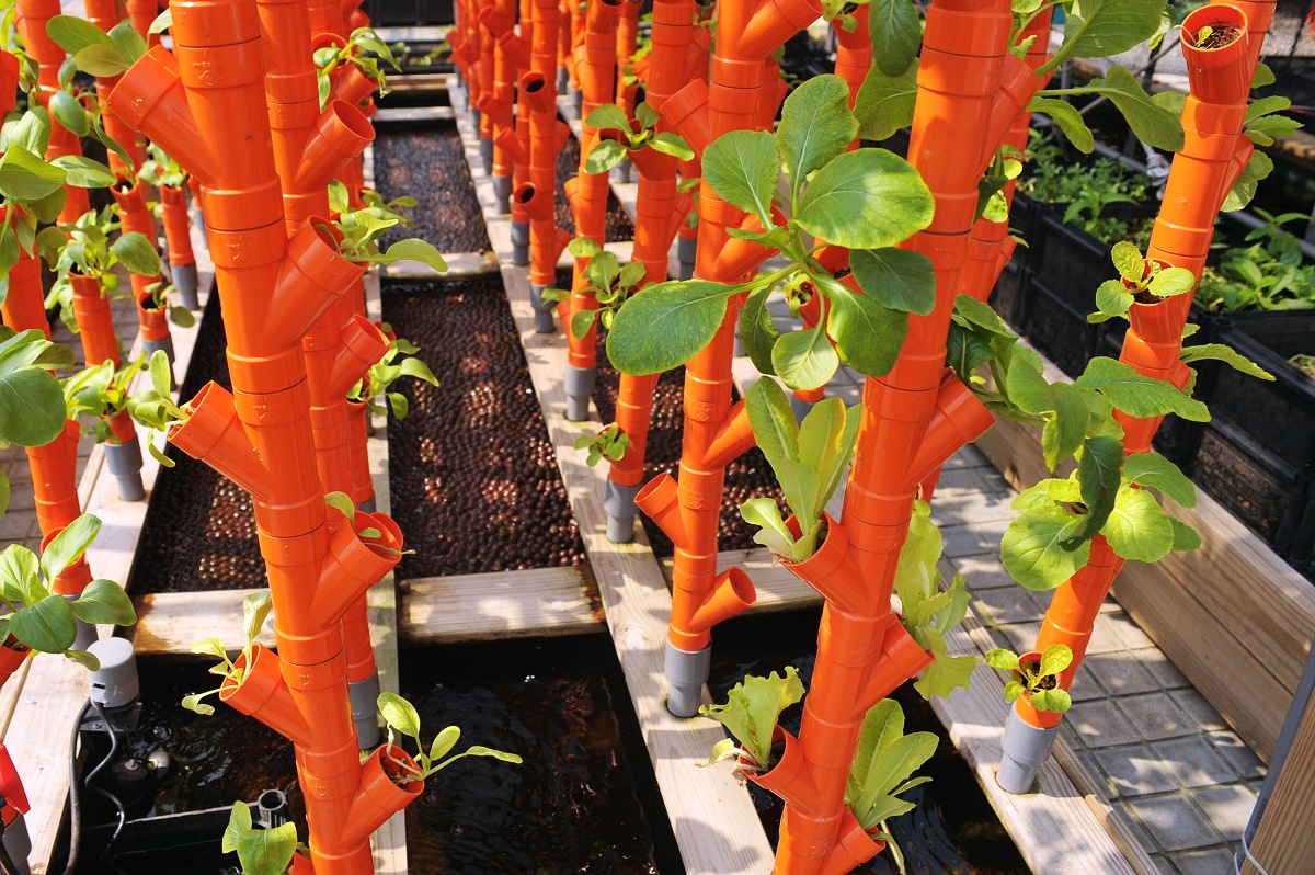 社區綠美化 朱立倫提倡新目標 結合食用植栽