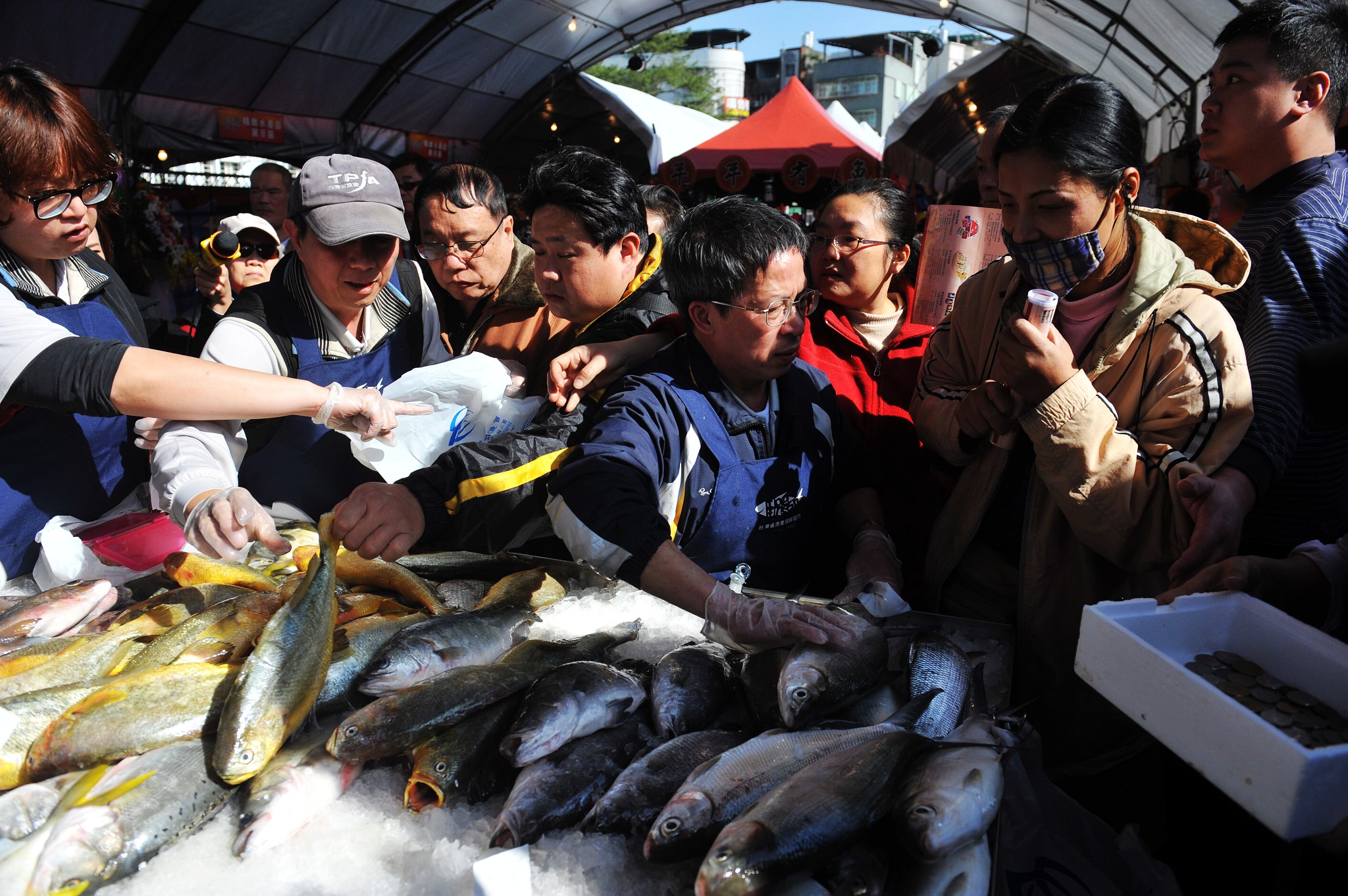 寶島鱻魚三重魚市場特賣 朱立倫義拍漁產品助獨居老人