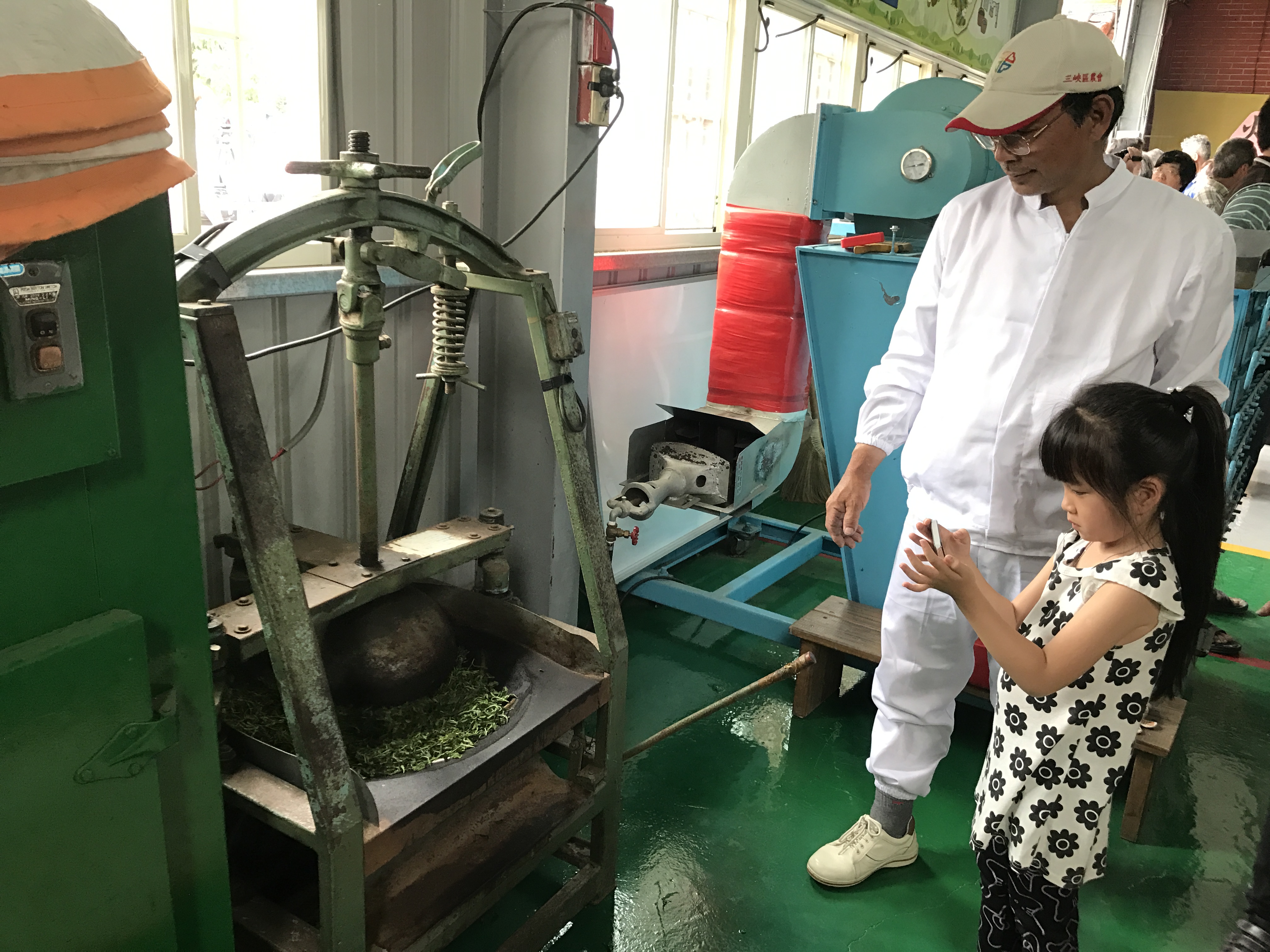 火金姑茶製茶1