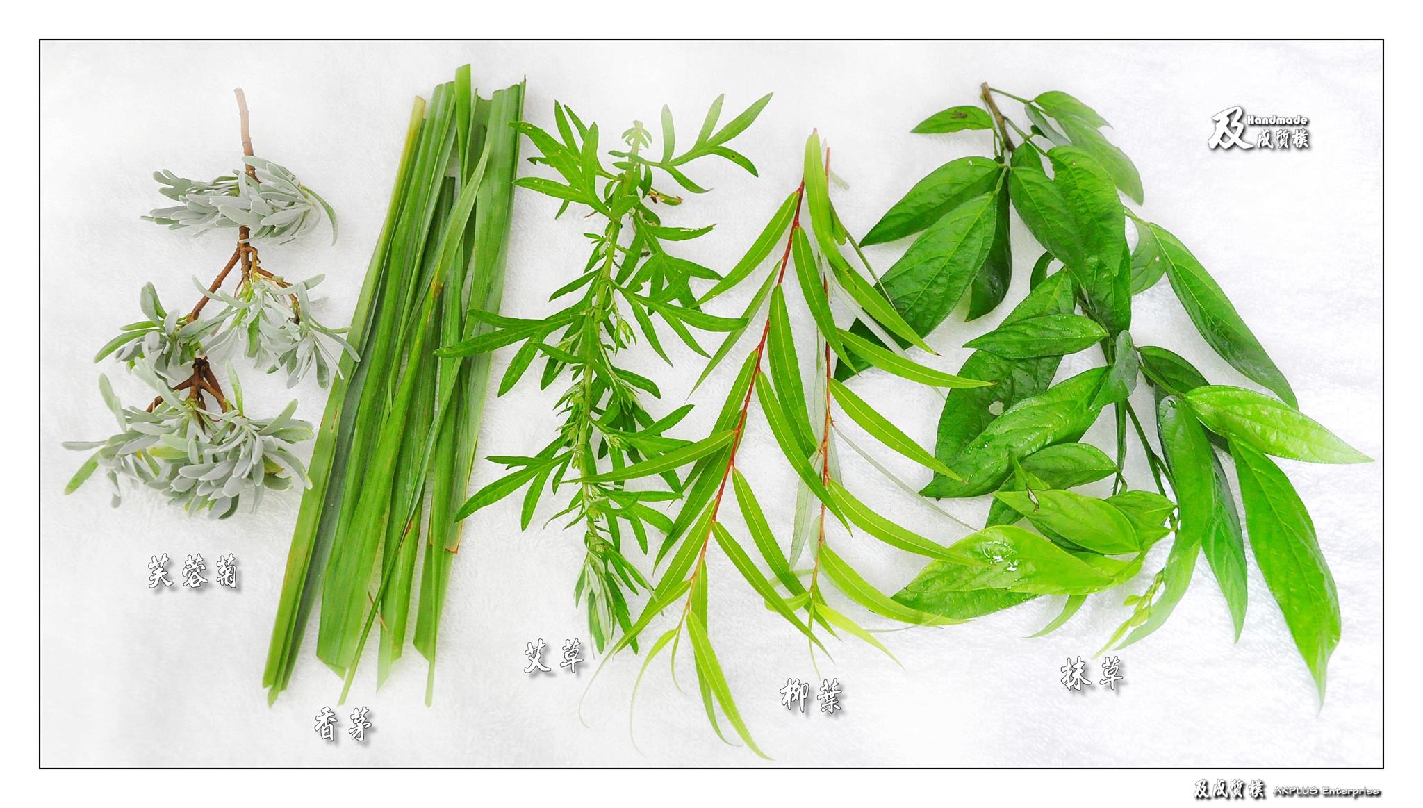 日常生活中隨處可見的香草
