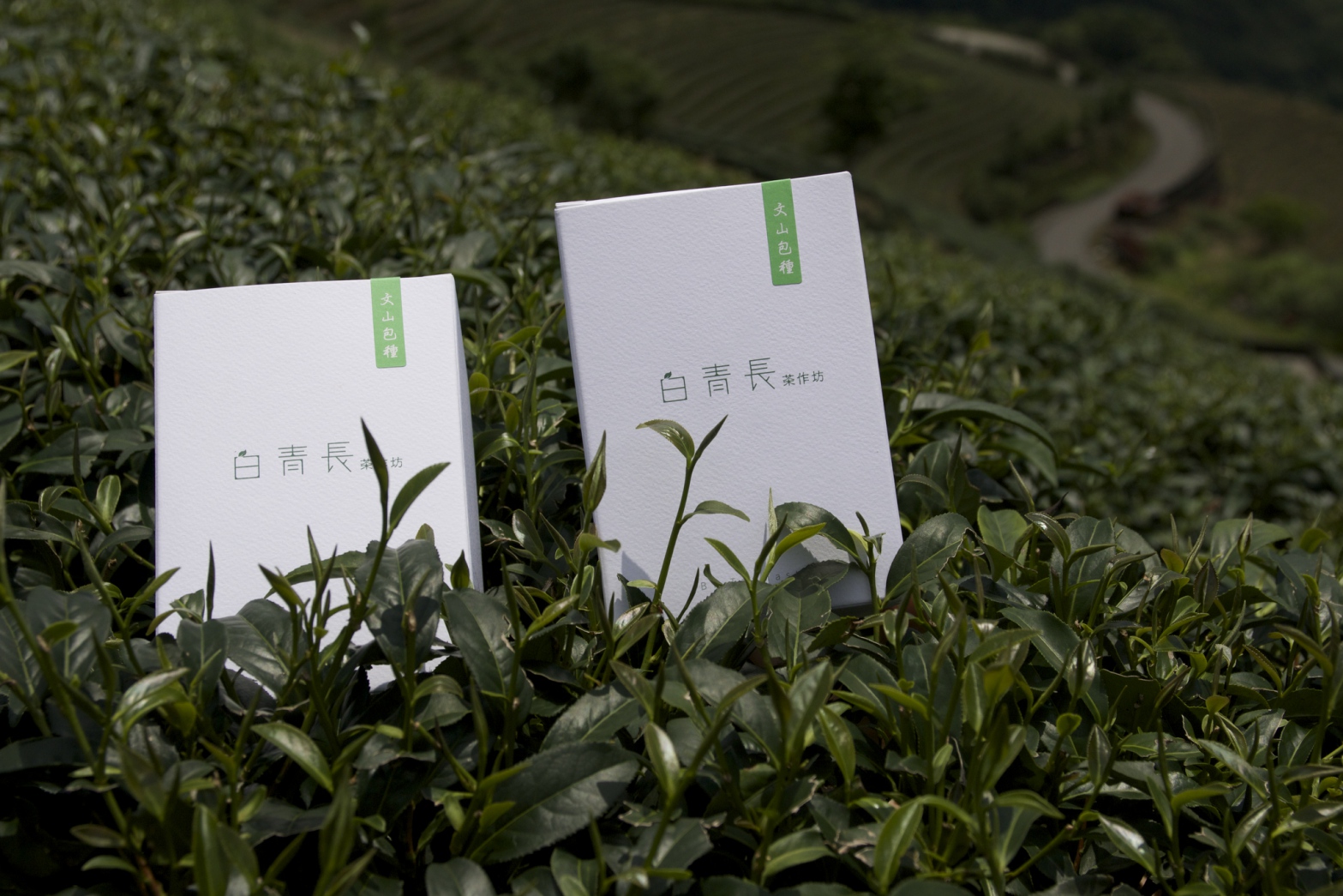 參賽的自家產品
