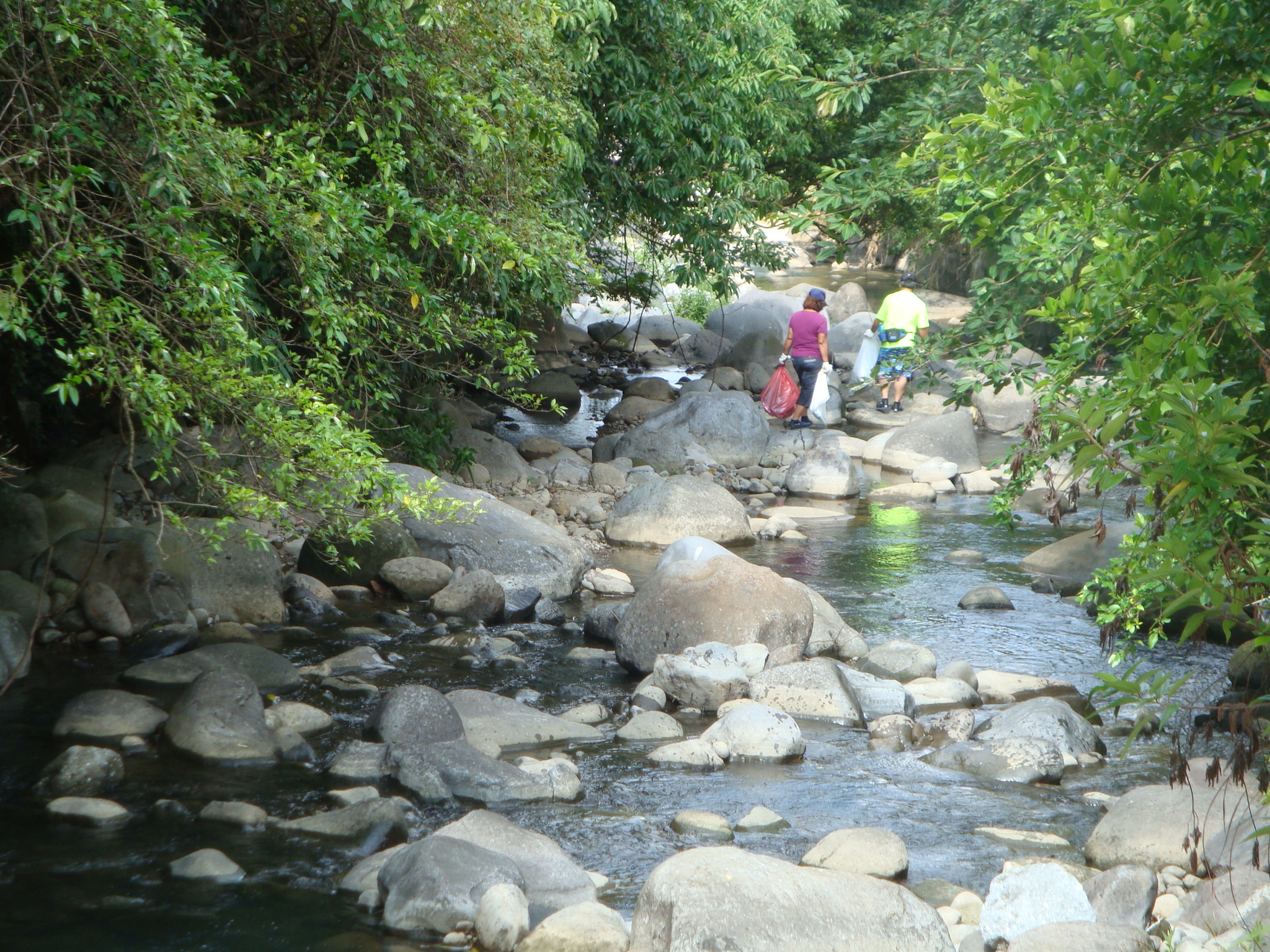 三芝八連溪辦理淨溪活動 共同保育溪流資源