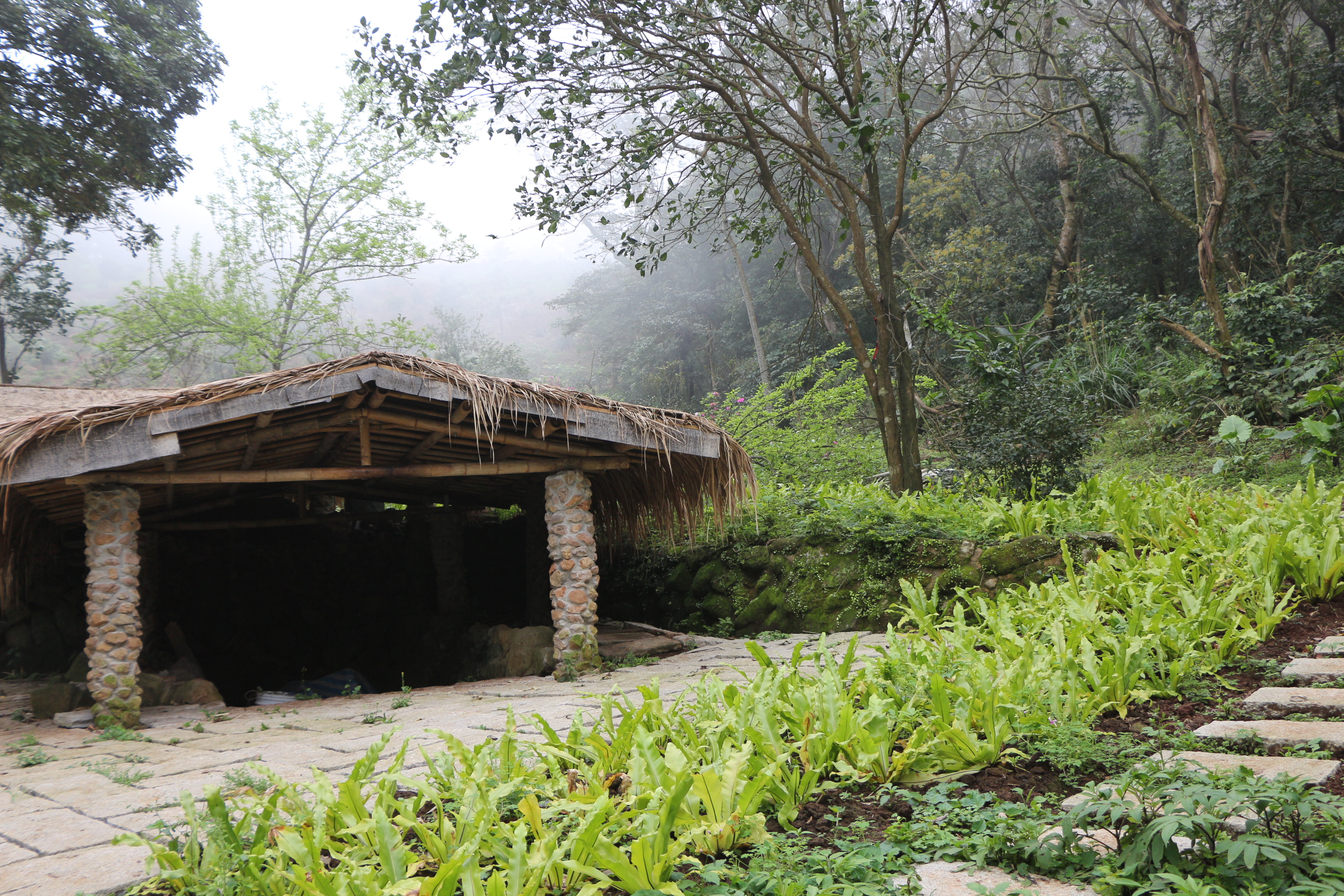 淡水樹興里長率志工修復文化遺址 推廣茶籽產業