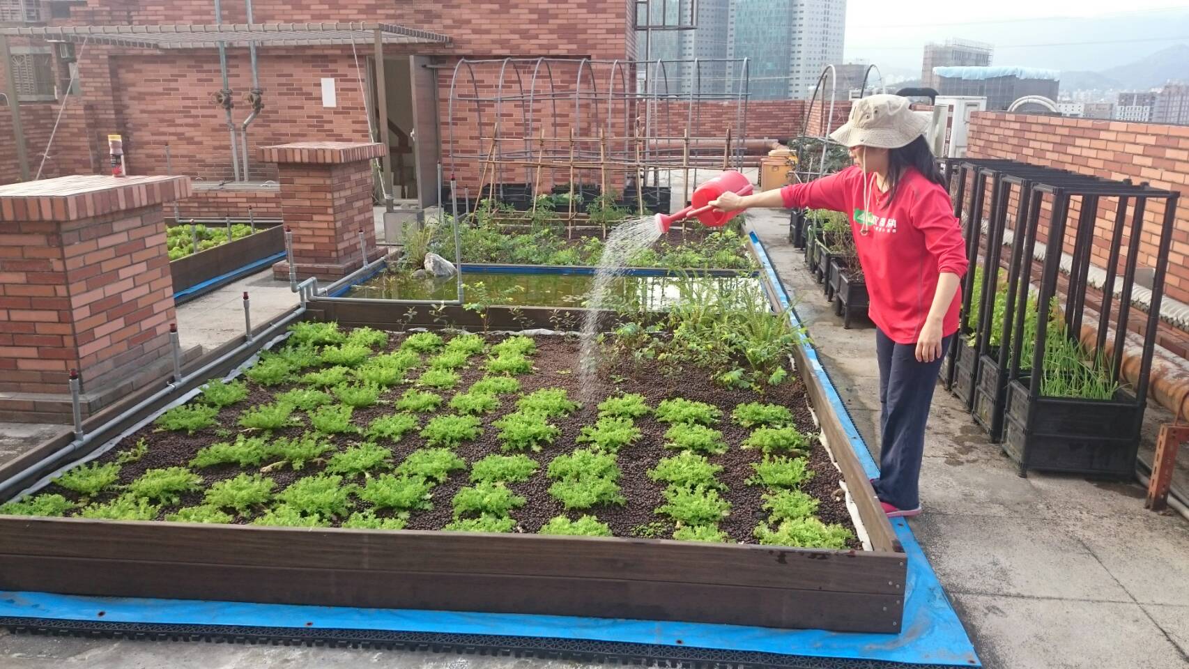 東方桂冠社區推行參與式農園，居民自行認養照顧菜苗
