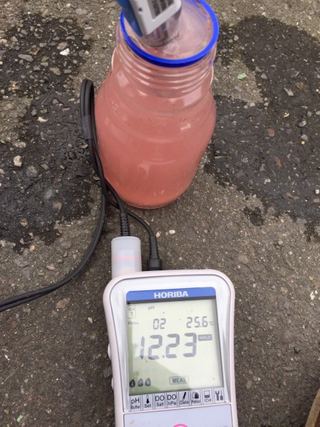 現場採取粉紅水樣量測pH值為12.23，水溫25.6℃