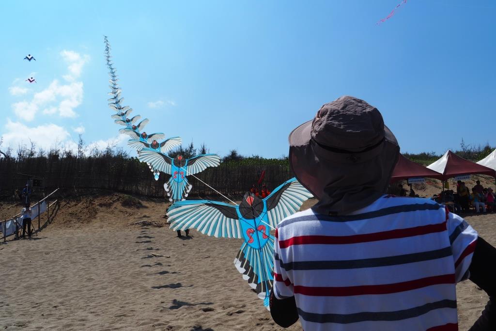 劉錫勳老師將99隻台灣藍鵲串聯起來，總長度超過百米_新北市文化局