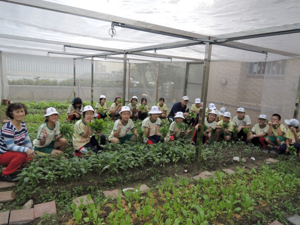 新莊區頭前國小打造希望農園，並與新莊社區大學共同推廣食農教育，推動永續校園