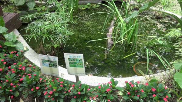 稙村秀社區營造自然的棲地環境，增加生態多樣性.jpg