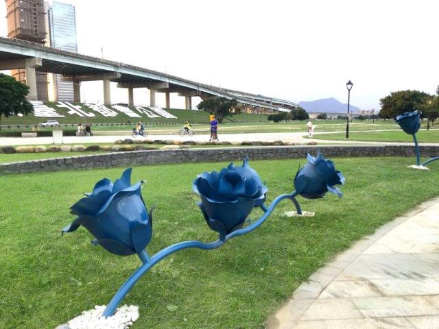 戒指周邊圍繞著藍色玫瑰花