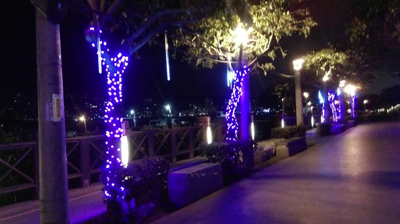 新北河濱聖誕換新妝  河岸溫馨浪漫許願遊