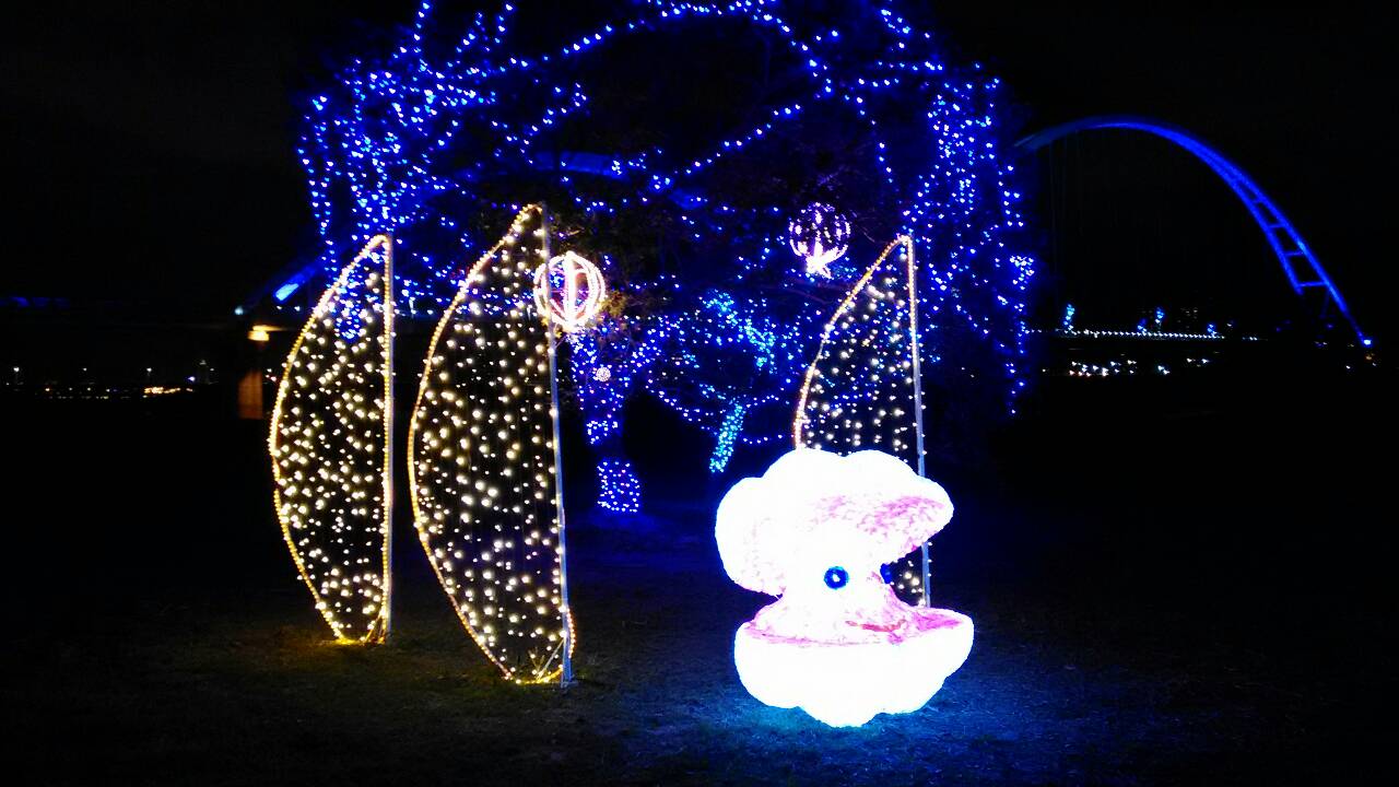 新北河濱聖誕換新妝  河岸溫馨浪漫許願遊