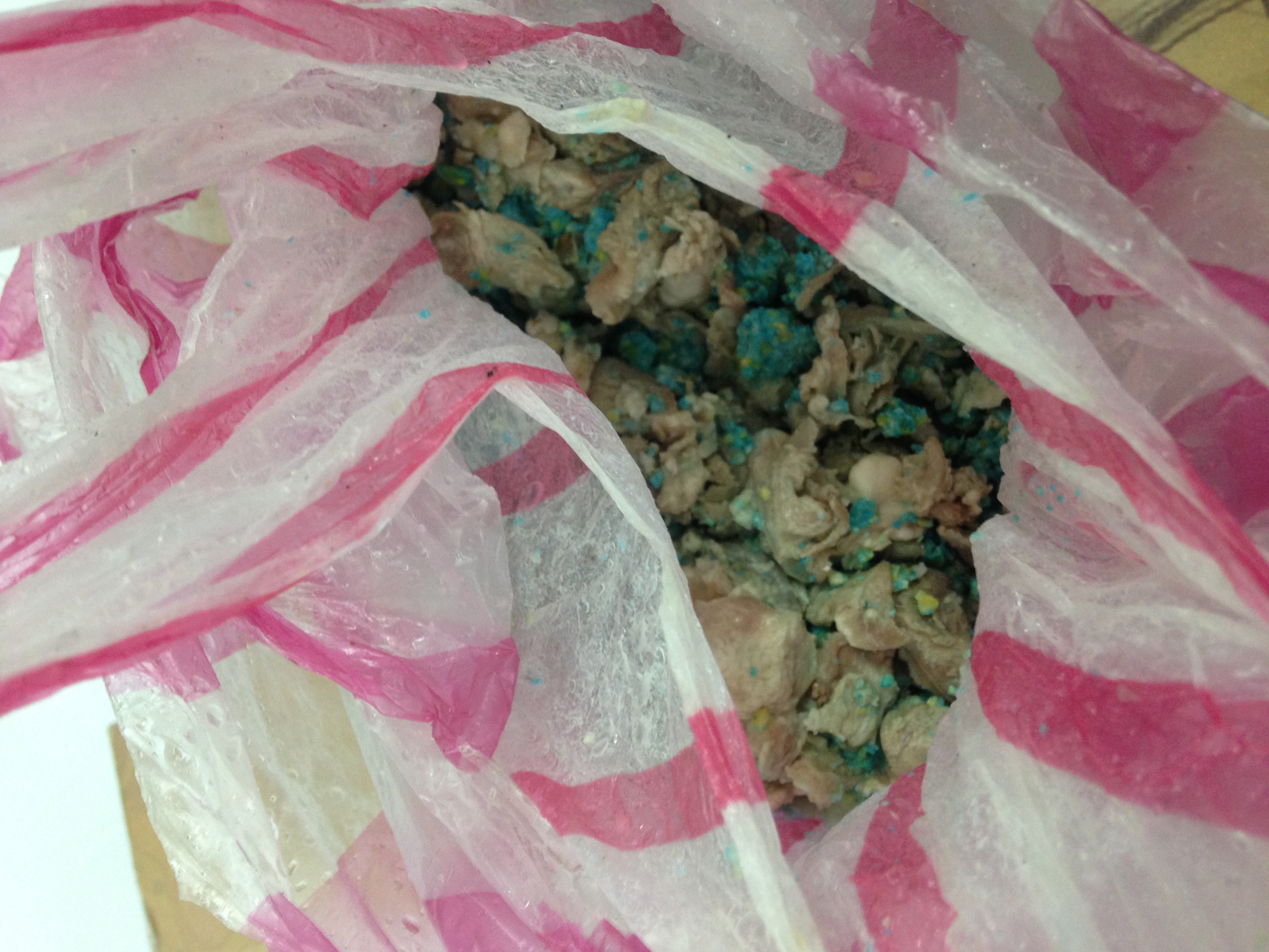 放滅鼠藥卻被狗狗誤食‧動保處開罰