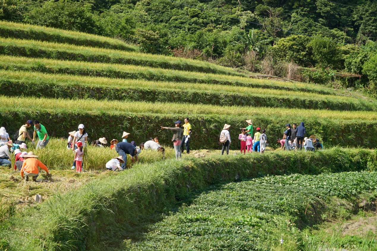 新北農村再生社區1