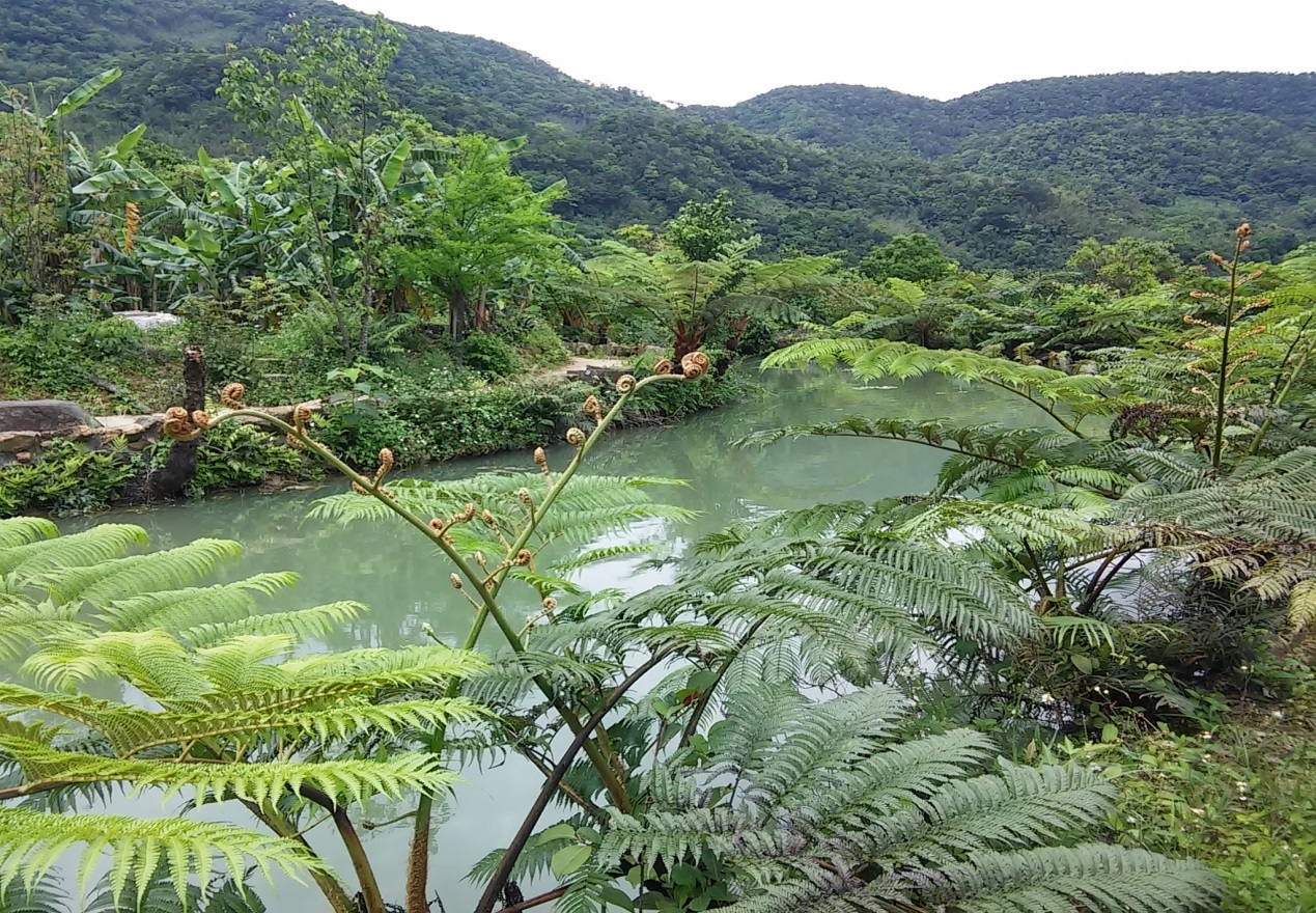 新北農村再生社區2