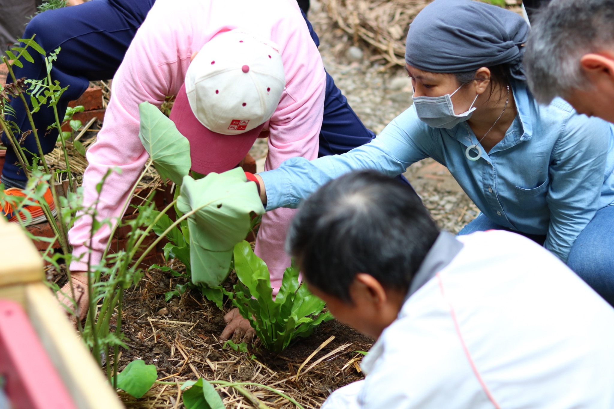 從設計、整理、施工、植栽種植，都是由在地居民親手完成