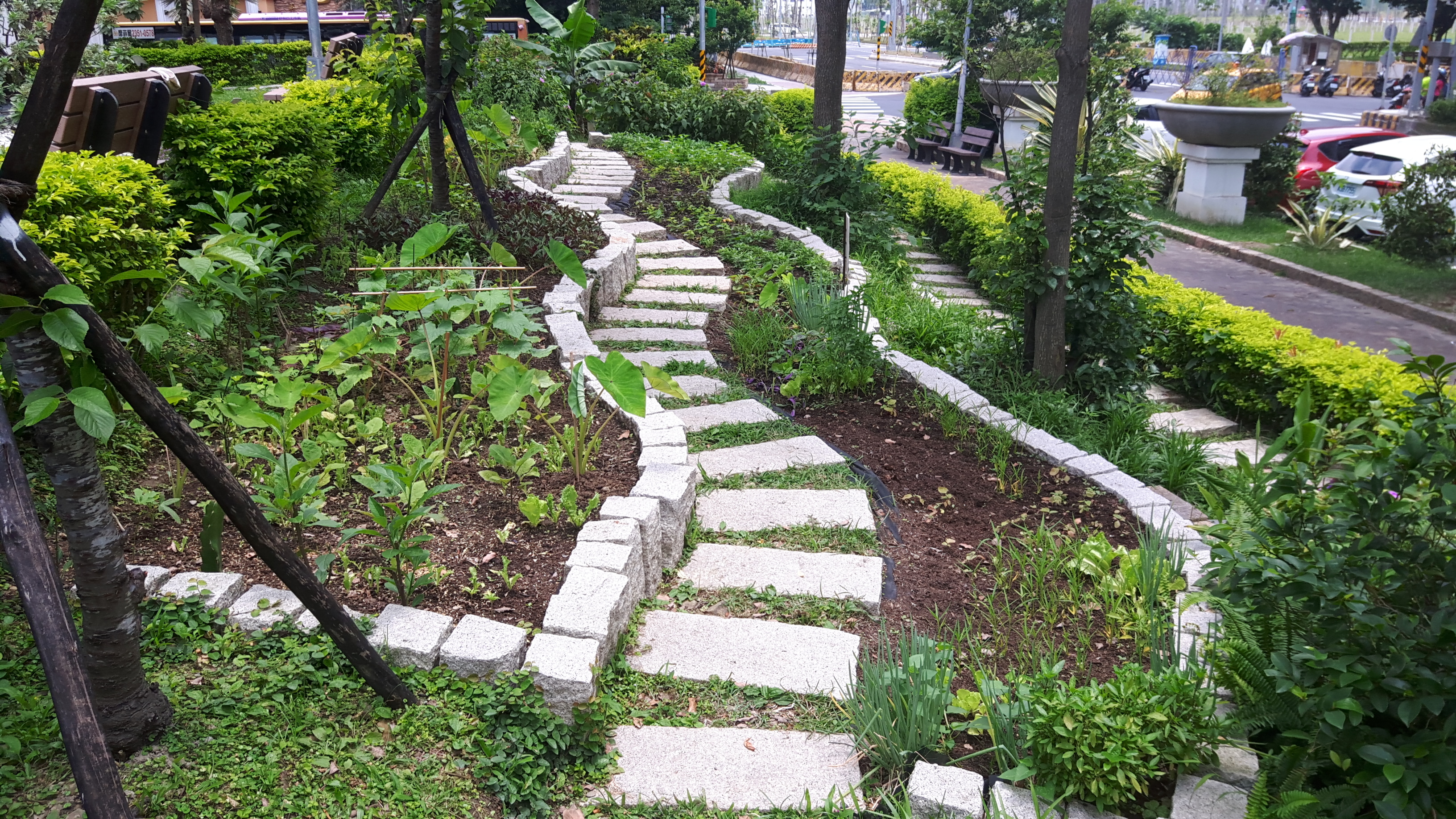 新店中山里將湯泉公園低使用率的角落 打造為療癒花園