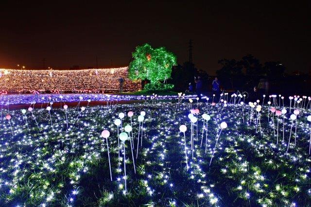 蝴蝶公園夜晚另一種浪漫情懷