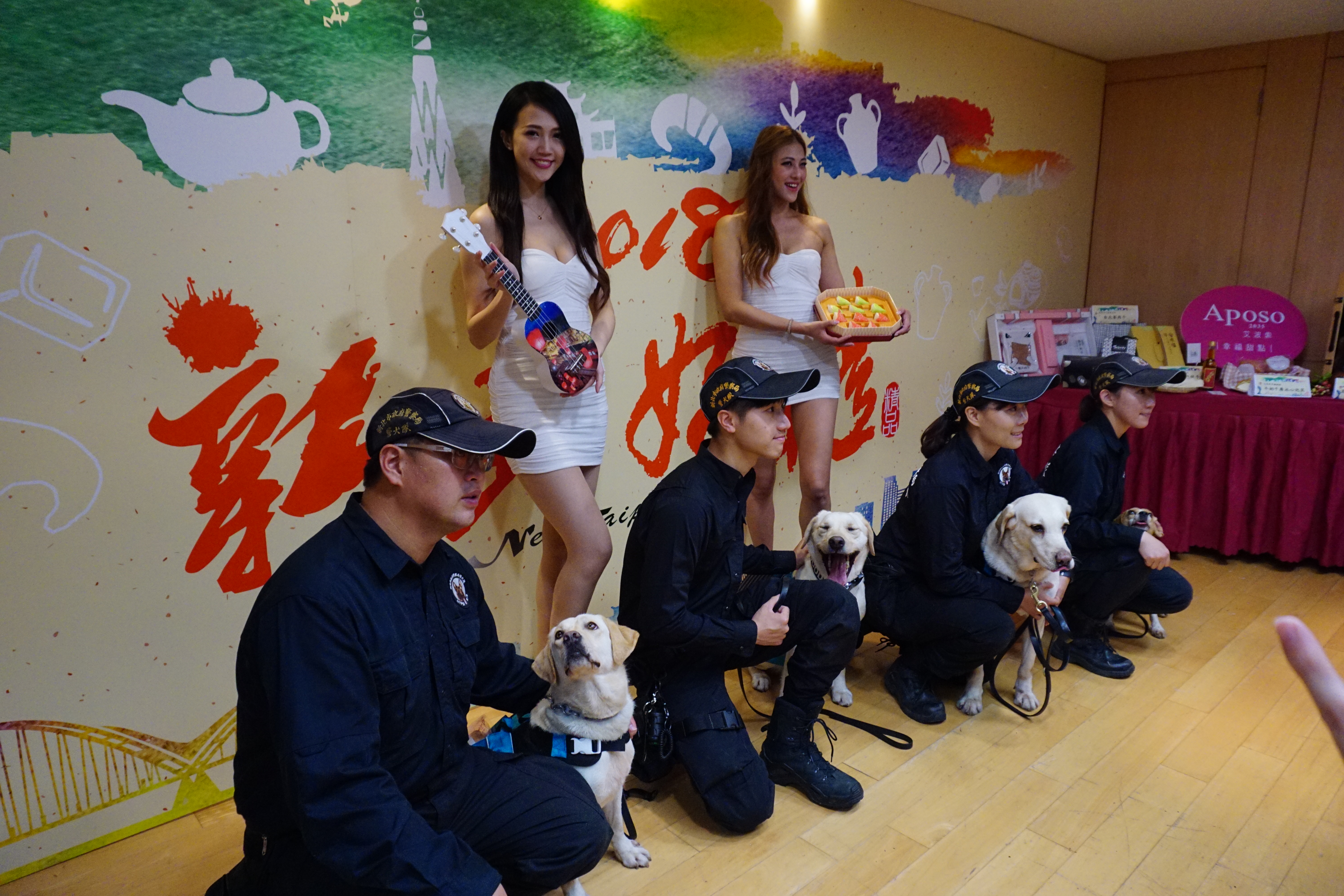 英勇的拉不拉多警犬們背著新北好禮帥氣出場，一同為伴手禮徵件助陣