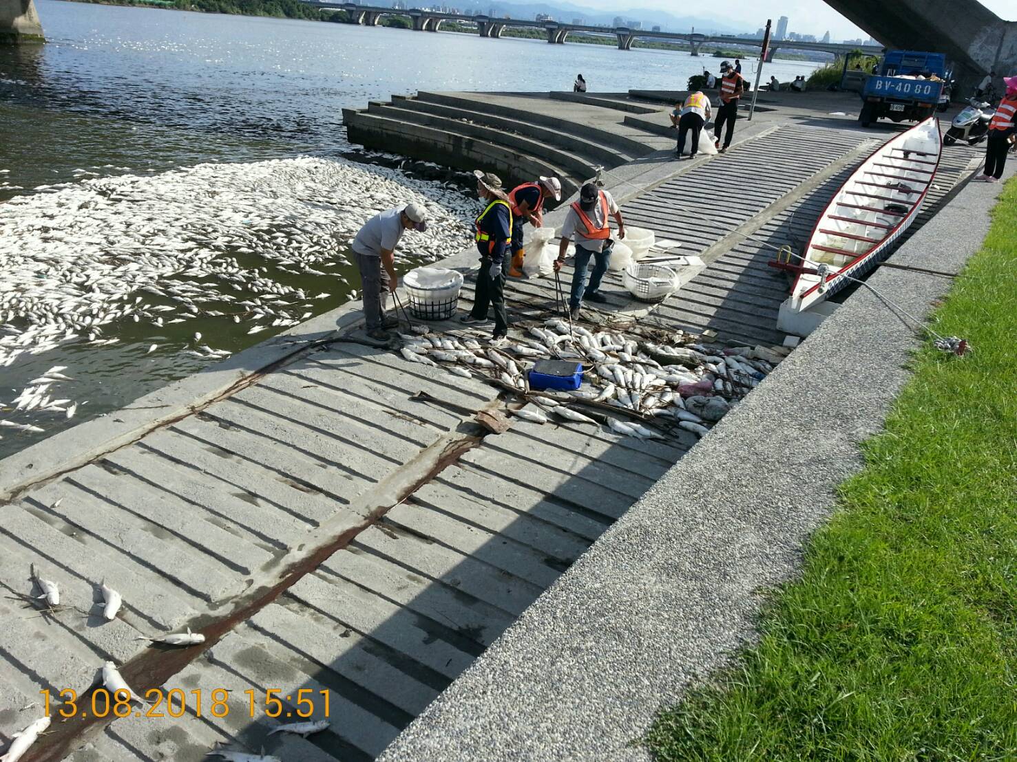 水中低溶氧造成大量魚隻暴斃