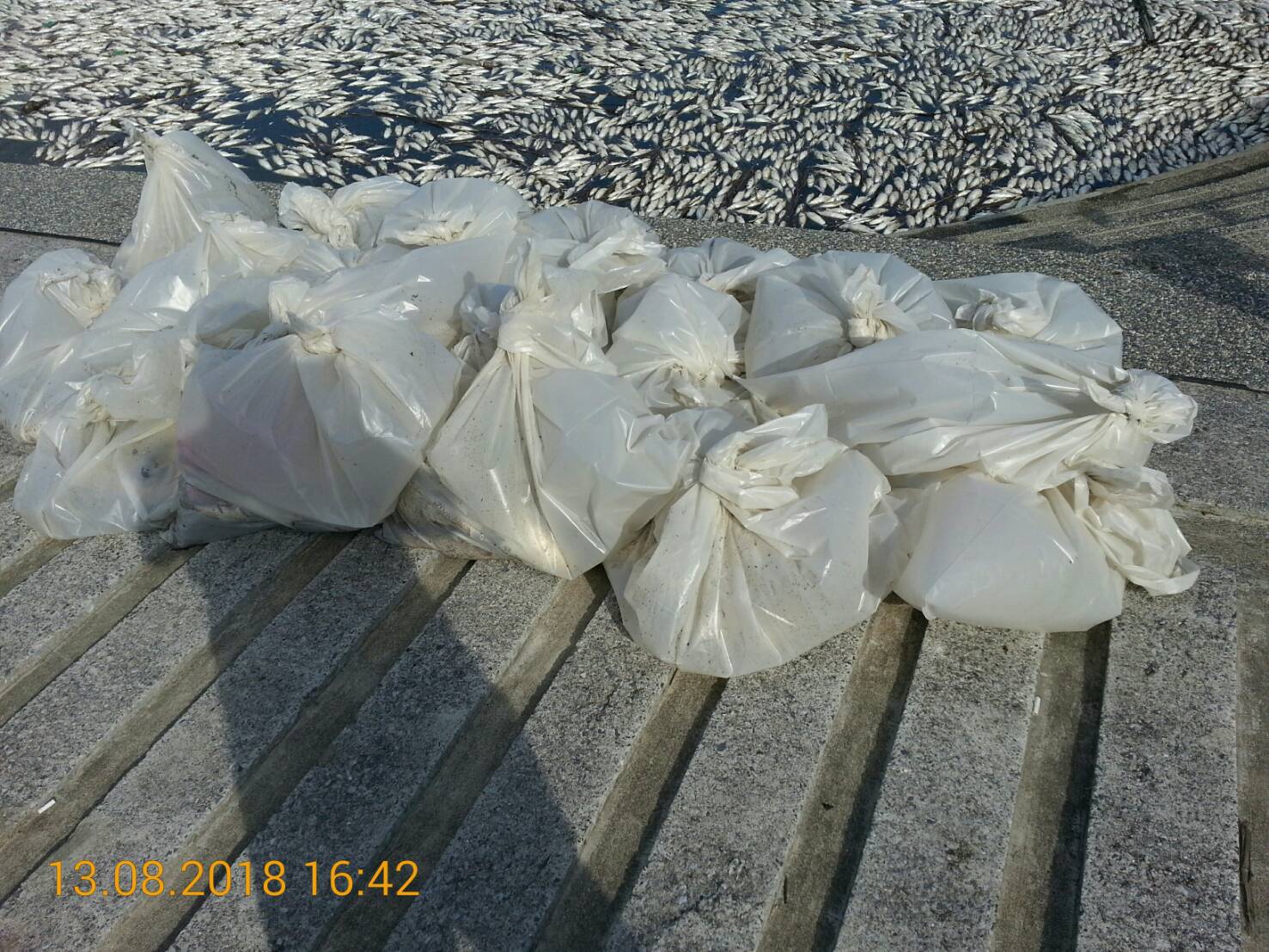 新北市已快速撈除