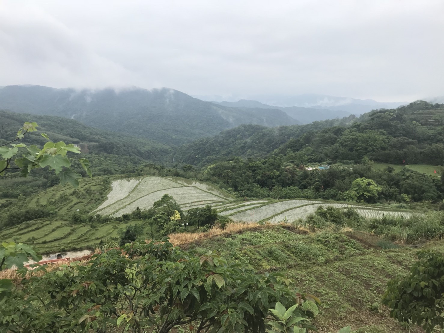 貢寮水梯田