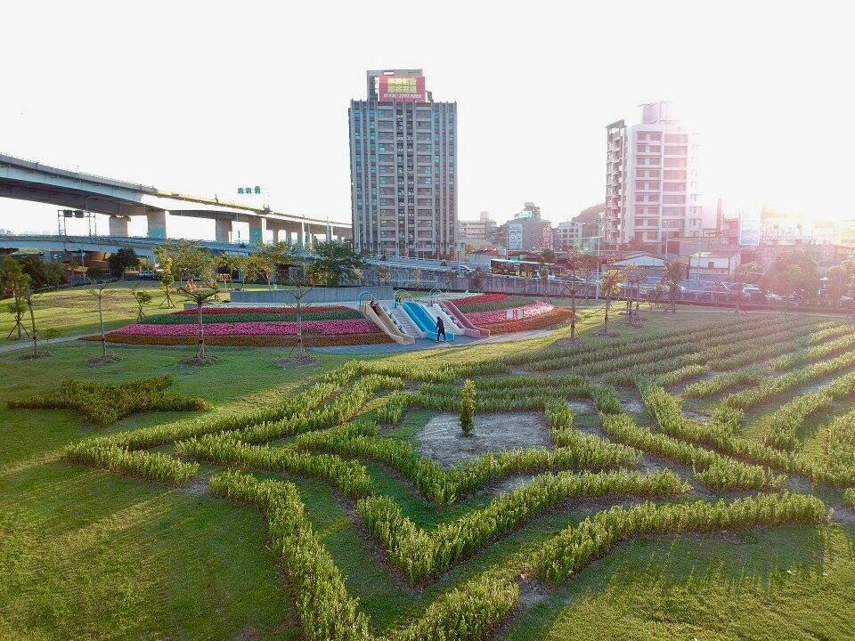 五股區防災體健公園中的流星景觀迷宮，低矮的灌木讓小朋友不怕迷路可以安全遊玩