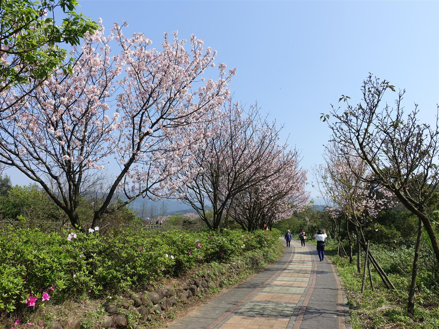 三和社區-三生步道