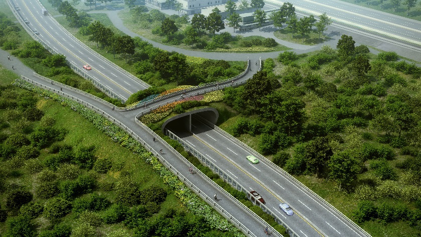 淡北道路示意圖