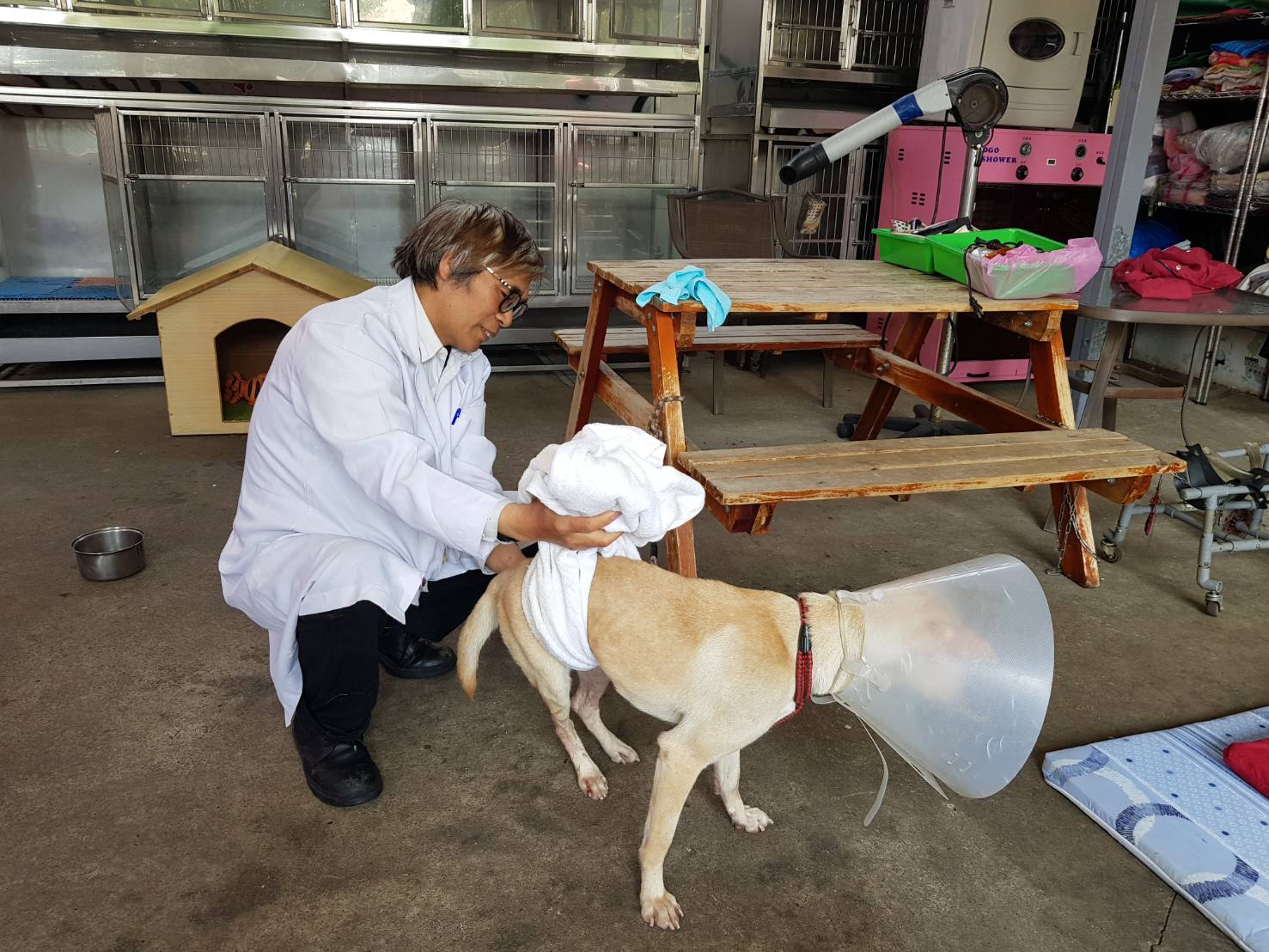 獸醫師認真照顧毛寶貝，讓毛寶貝醫療有保障