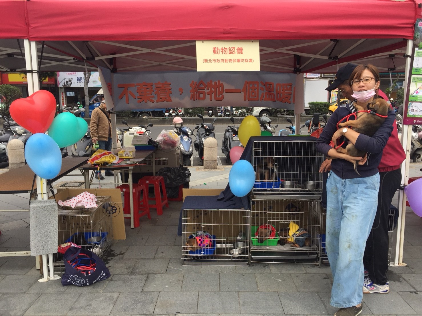 動保處辦理認養會，為毛寶貝尋找溫暖的家