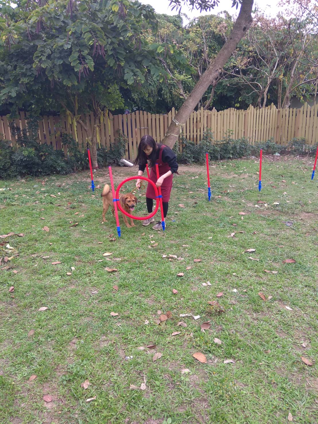 跳圈練習-我怕怕