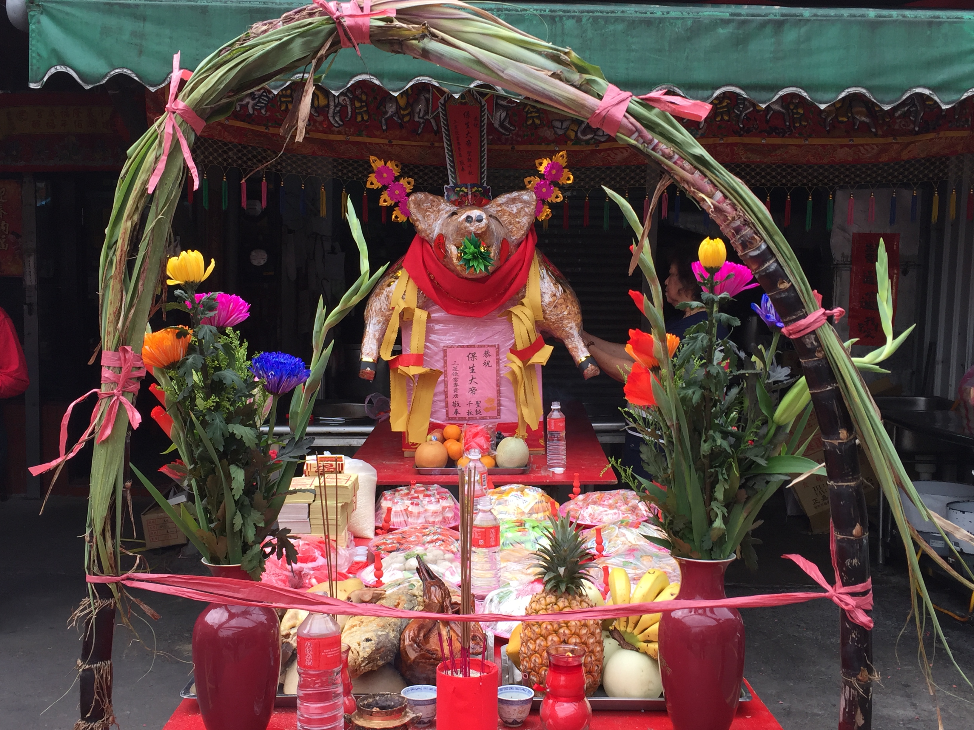 祭祀起跑賽豬公磅豬