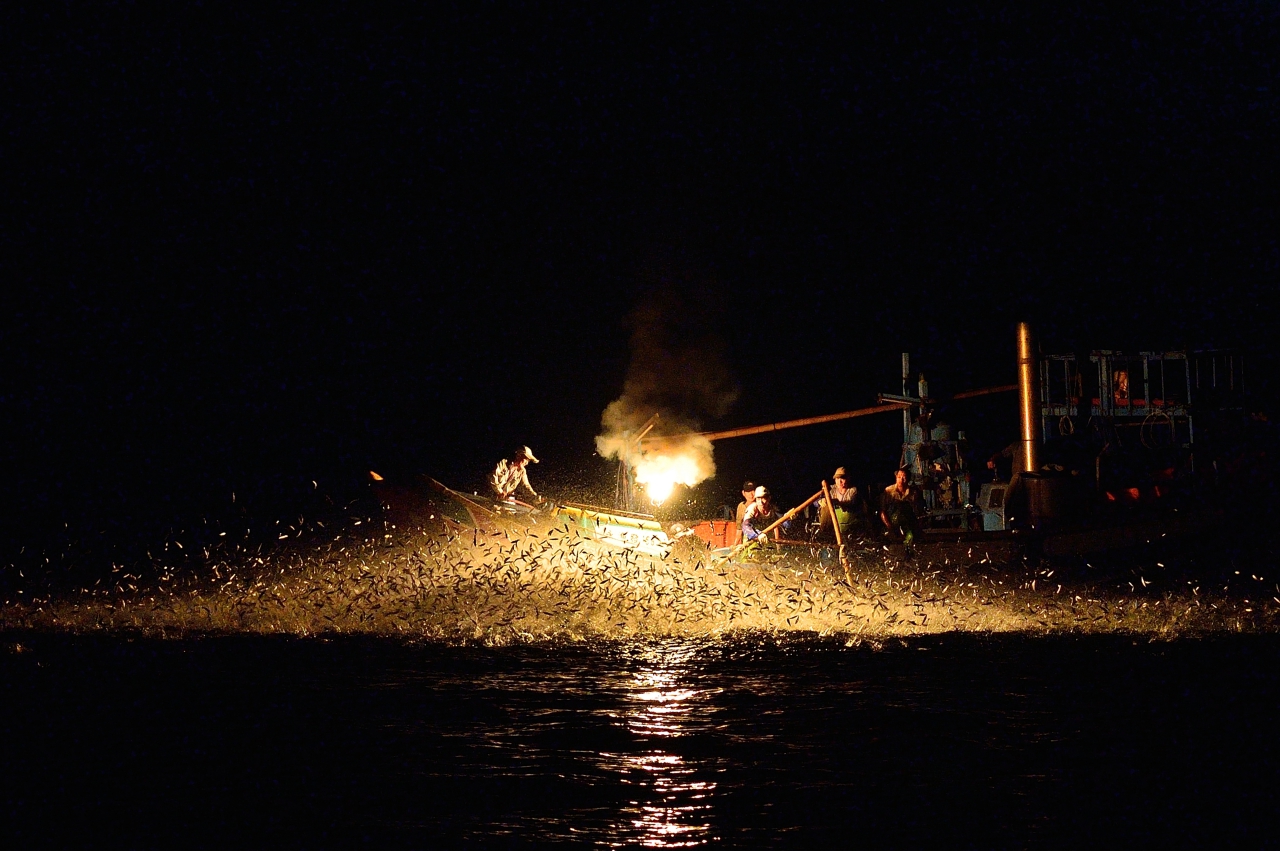 蹦火漁船捕魚