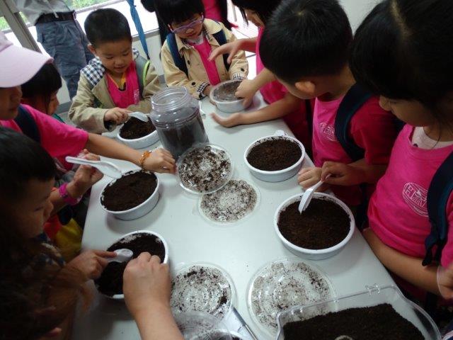 獨角仙復育活動