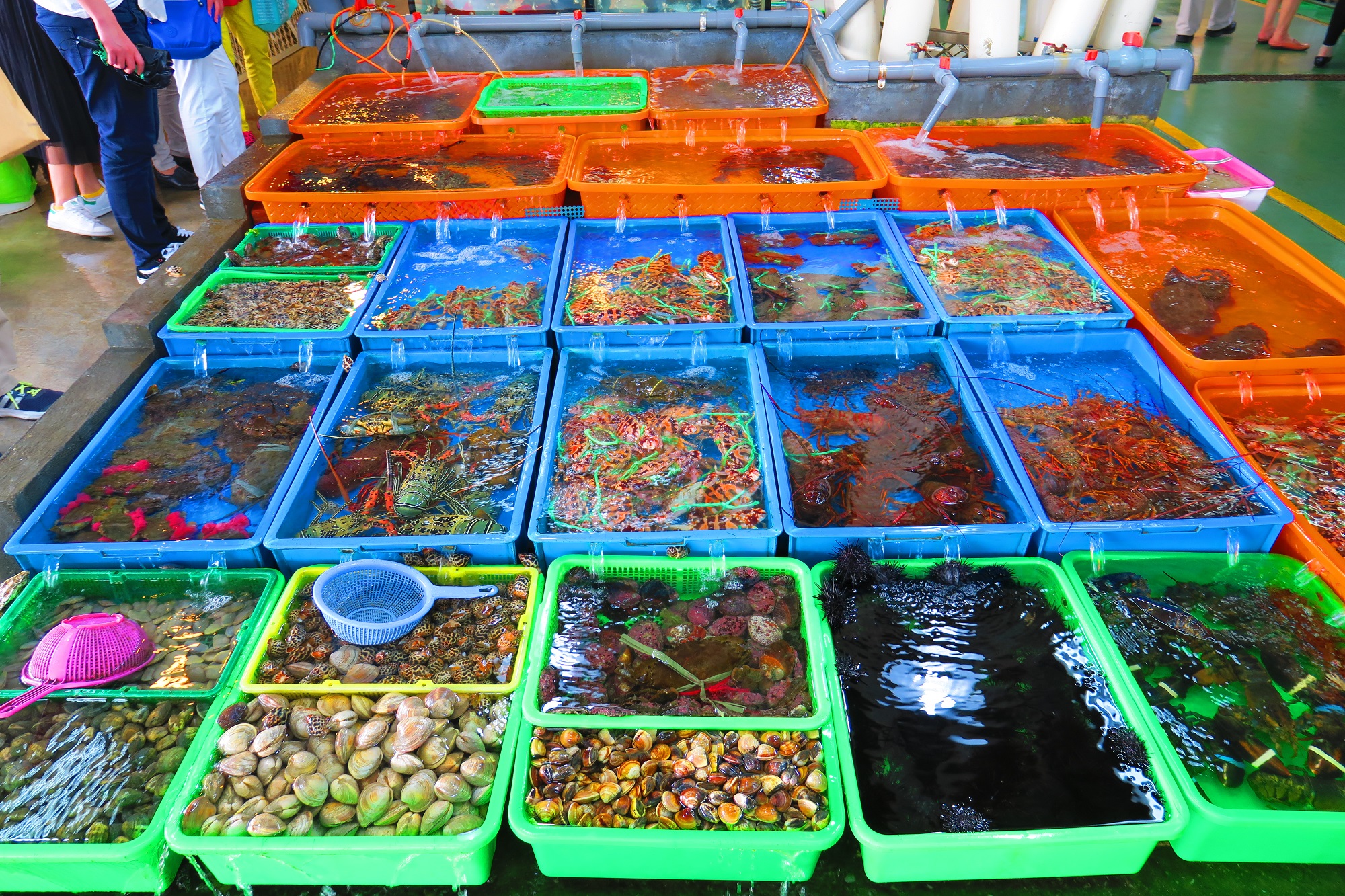 富基觀光魚市坐落於富基漁港內，販售在地漁船漁貨直送的生鮮海產