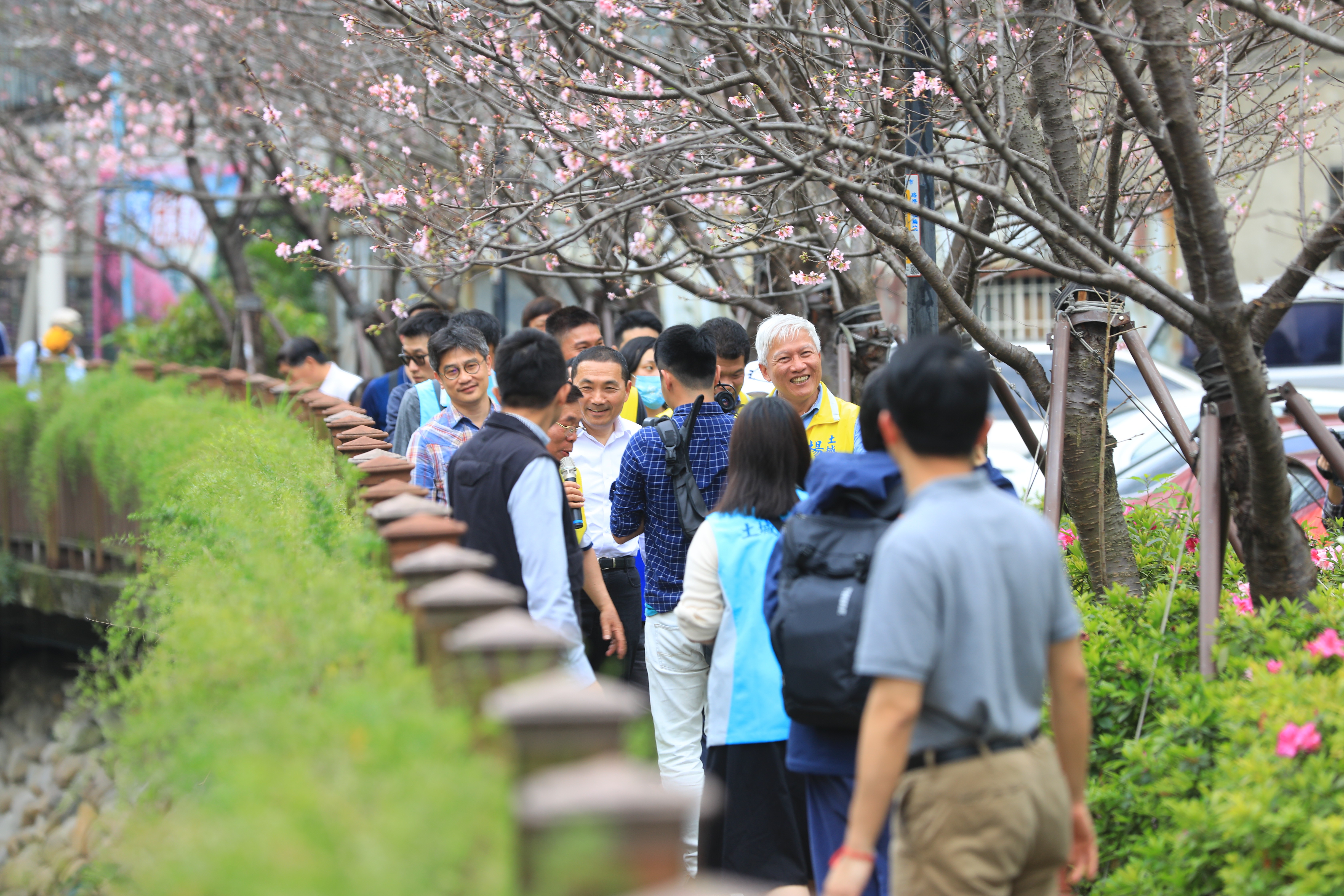 新北市長侯友宜今（6）日前往訪視土城「希望之河」，當起導遊帶路，邀請民眾賞櫻花拍美照。
