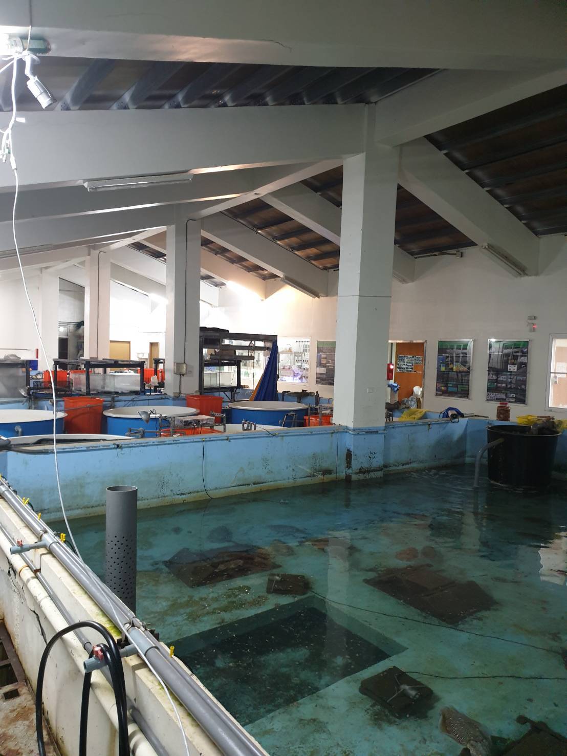 水上監視系統(畫面左上)全紀錄花枝繁殖情形