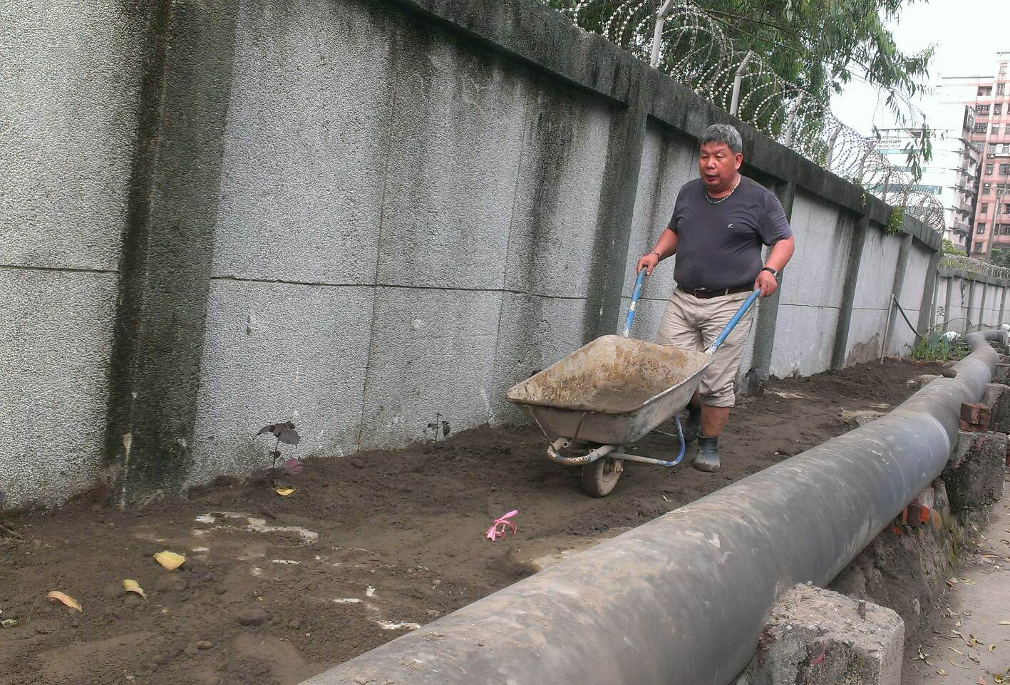 位於泰山區貴和里明志路3段的飛彈指揮部旁，原本是狹窄巷道堆放著髒亂不堪的垃圾堆，經過里長盧東和及志工們花費近3年時間整頓。