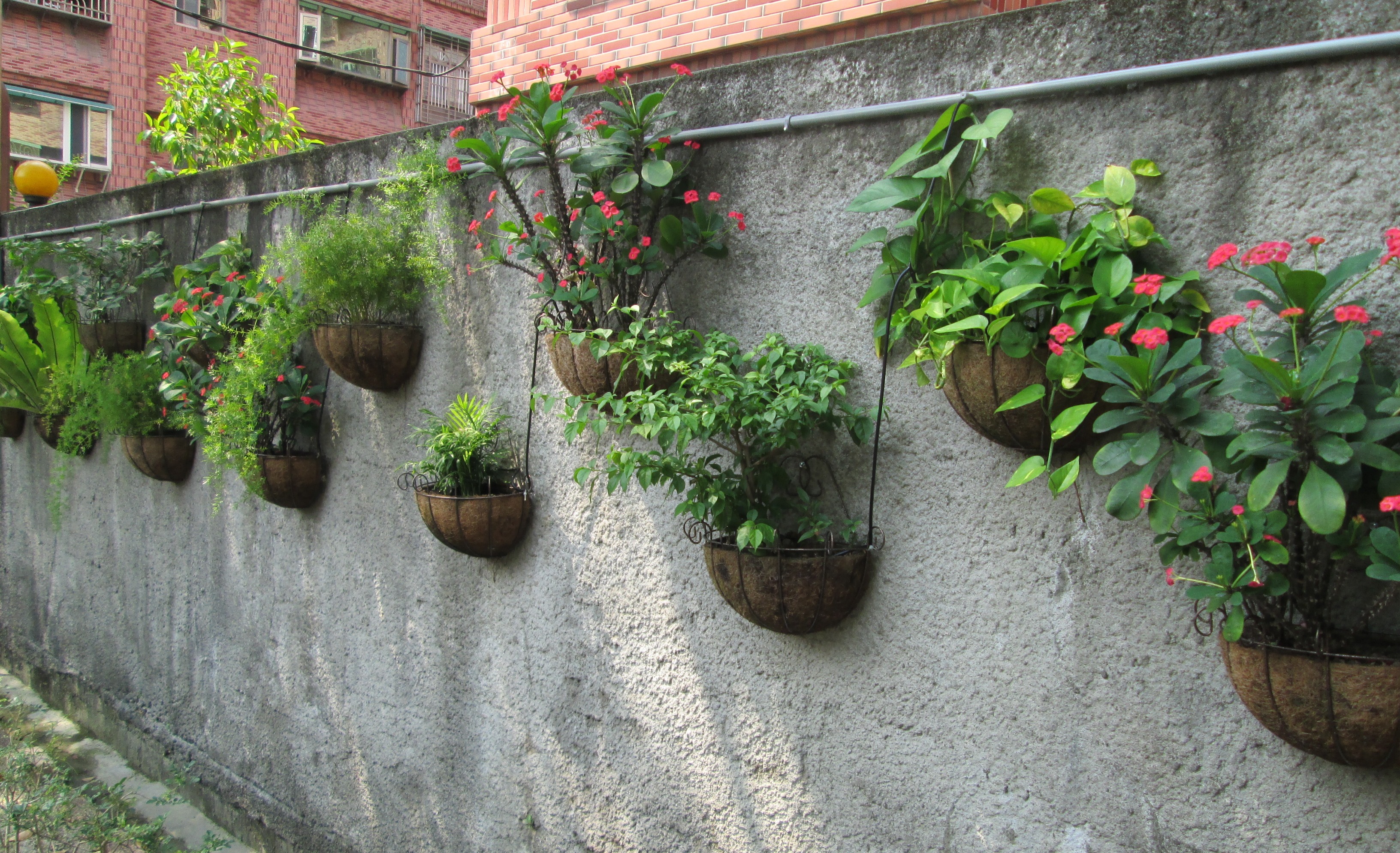 位於樂活園對面的貴和兒童公園，公園內除種植各種各式各樣的香草植栽，盧東和更以吊掛式盆栽妝點成綠牆，定期和志工們修剪維護，里內處處綠意盎然。