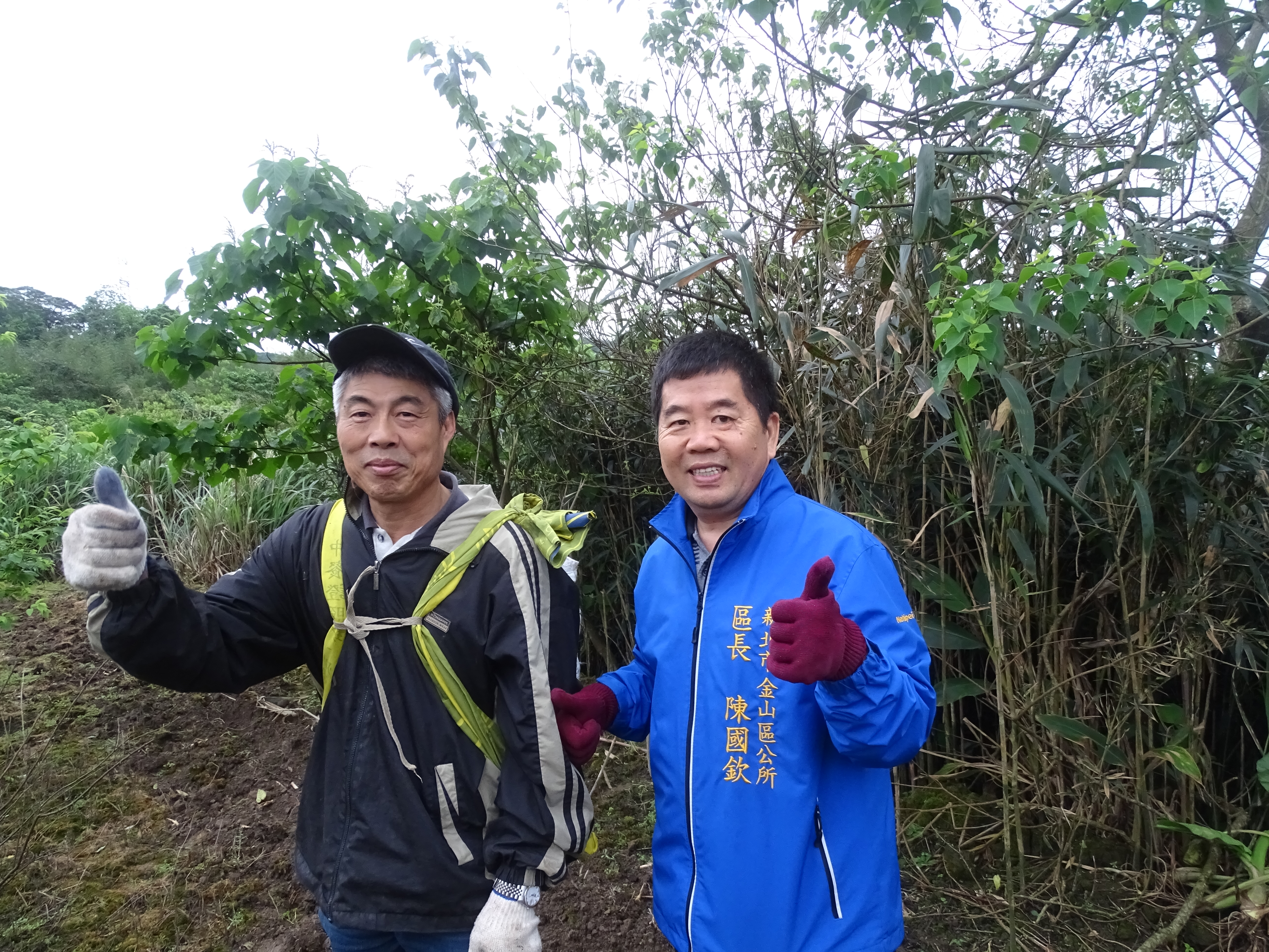 兩湖里里長張金火領路，區長陳國欽巡查本區箭竹筍採收狀況