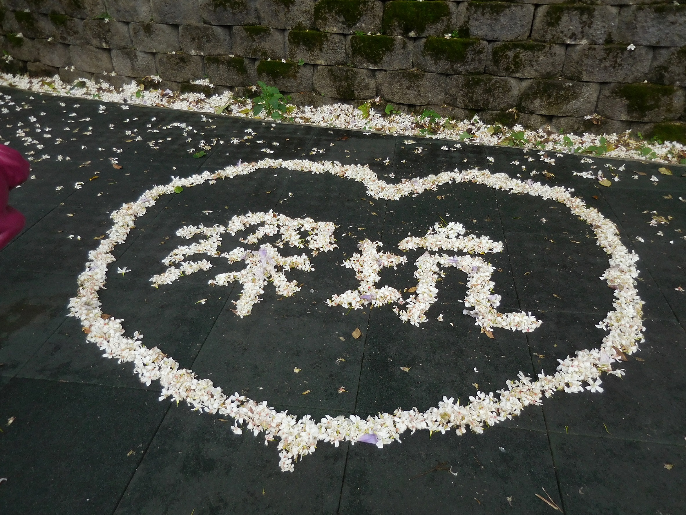 遊客利用落花排成了圖形與文字