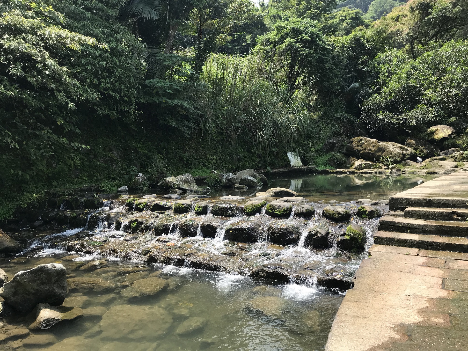阿柔坑溪的潺潺流水聲，在炎炎夏日中聽了顯得格外消暑