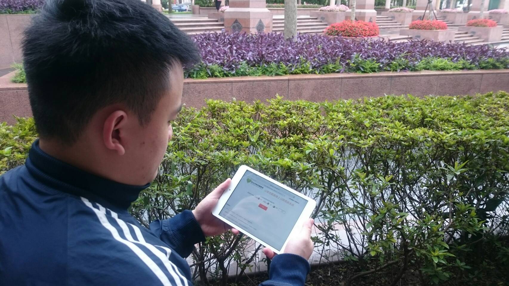行動裝置亦可上線查詢山坡地