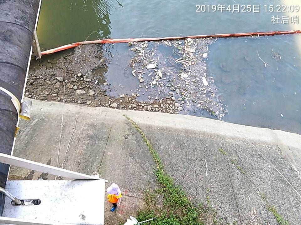 大量垃圾死魚進入易作業區域