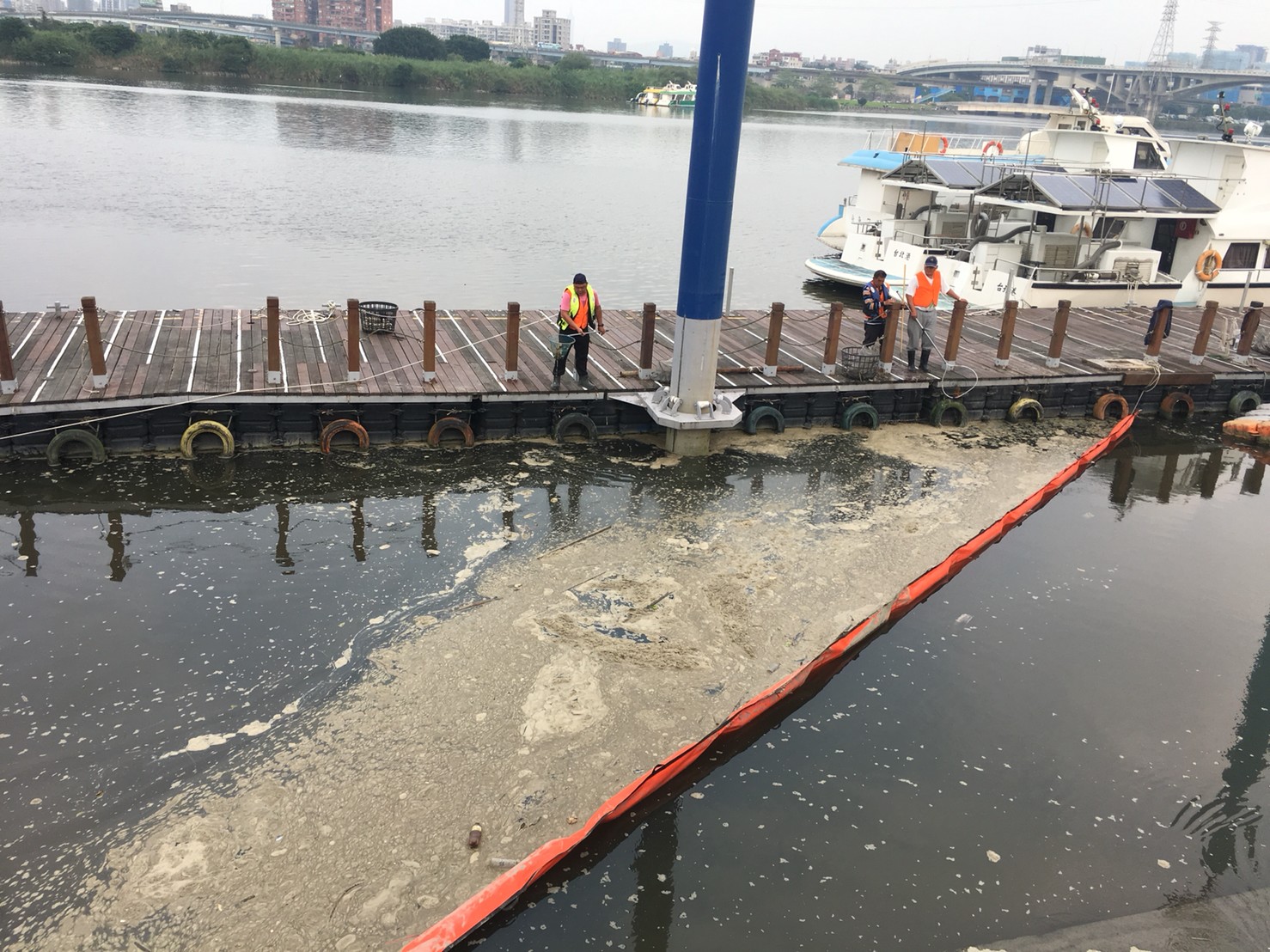 大量垃圾死魚順水流及攔污索進入碼頭內易作業區域