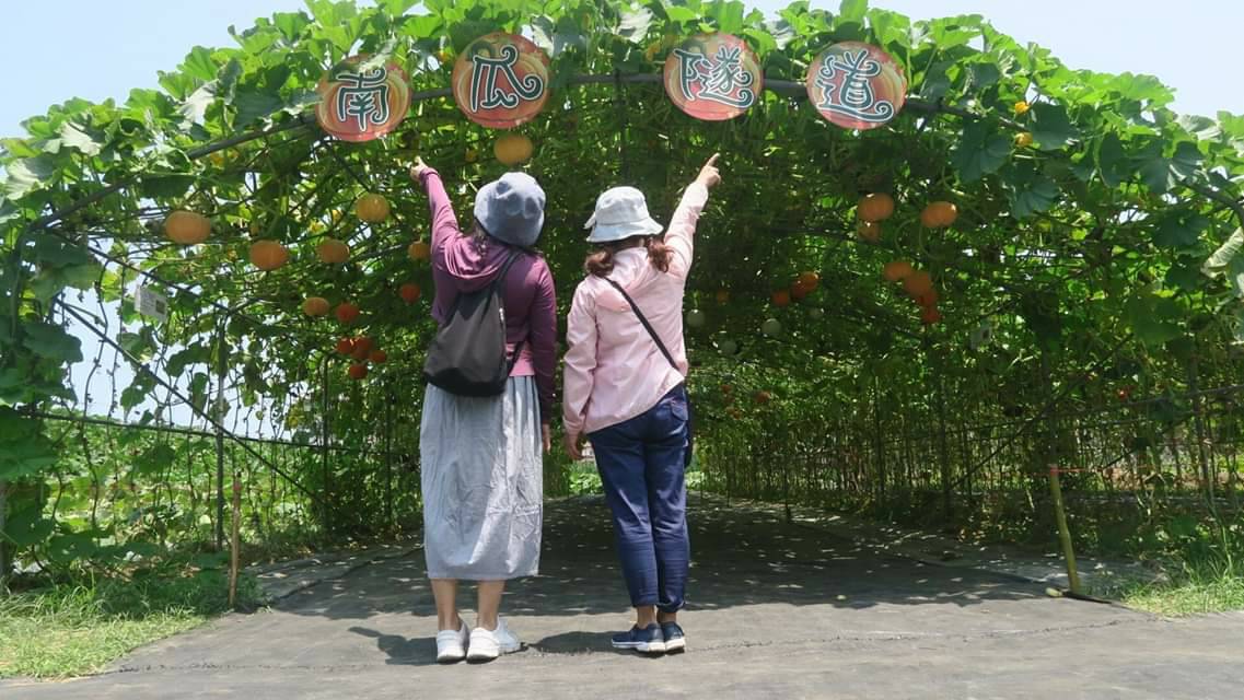 淡水區屯山里的南瓜隧道是拍照打卡秘境之一