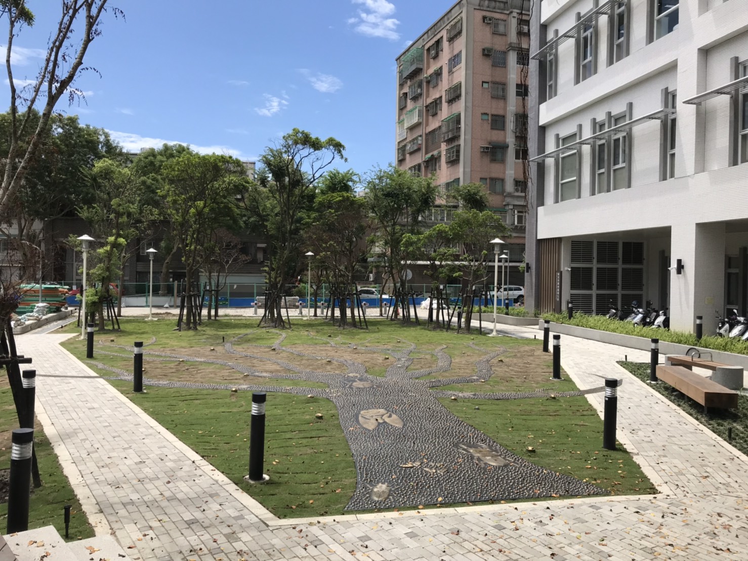 4棵老樹在樹林藝文綜合大樓基地移植成功，達成樹木和建築共存融為一體的功效，成為環境的一部份