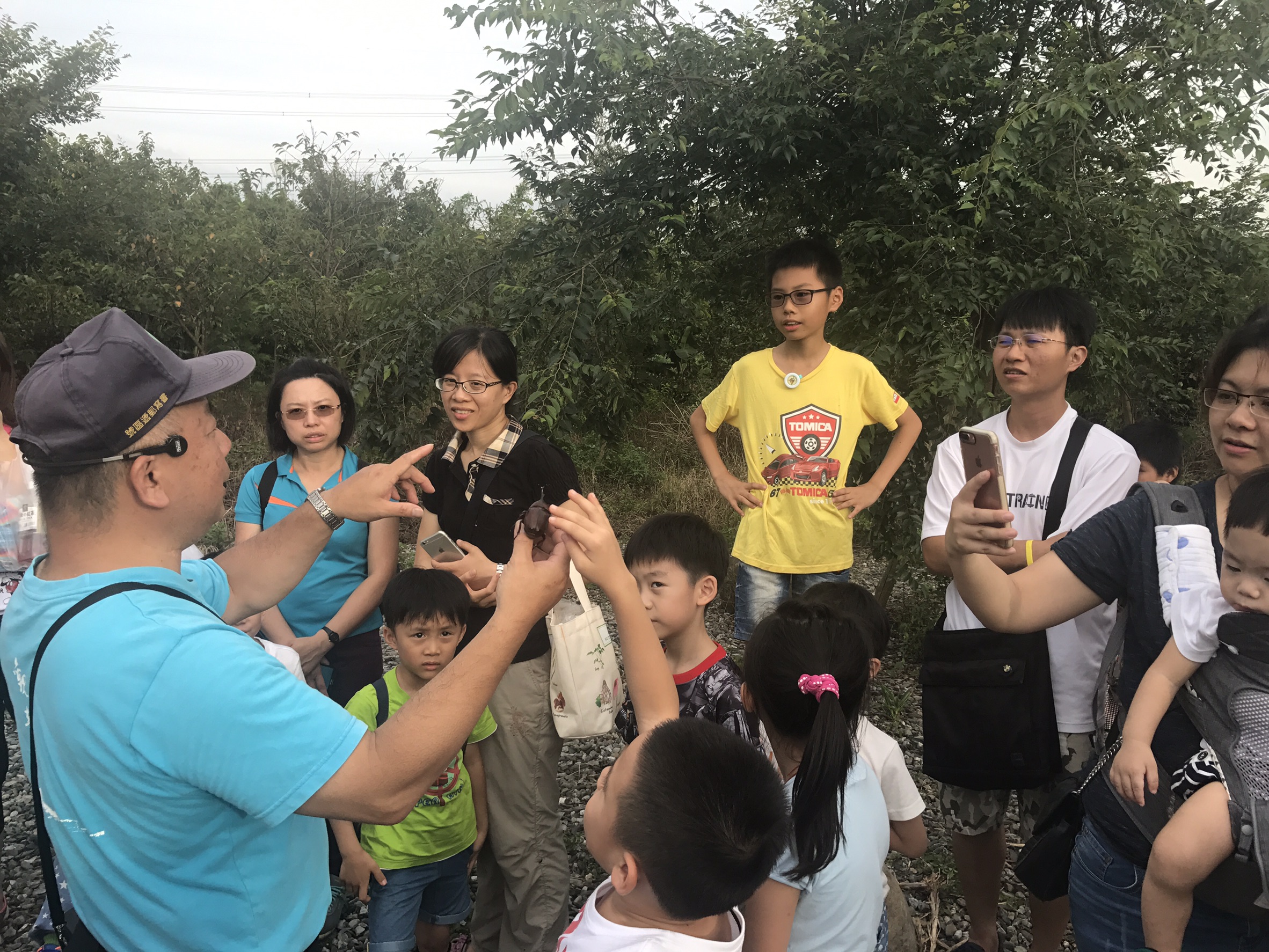 介紹獨角仙生態體驗活動