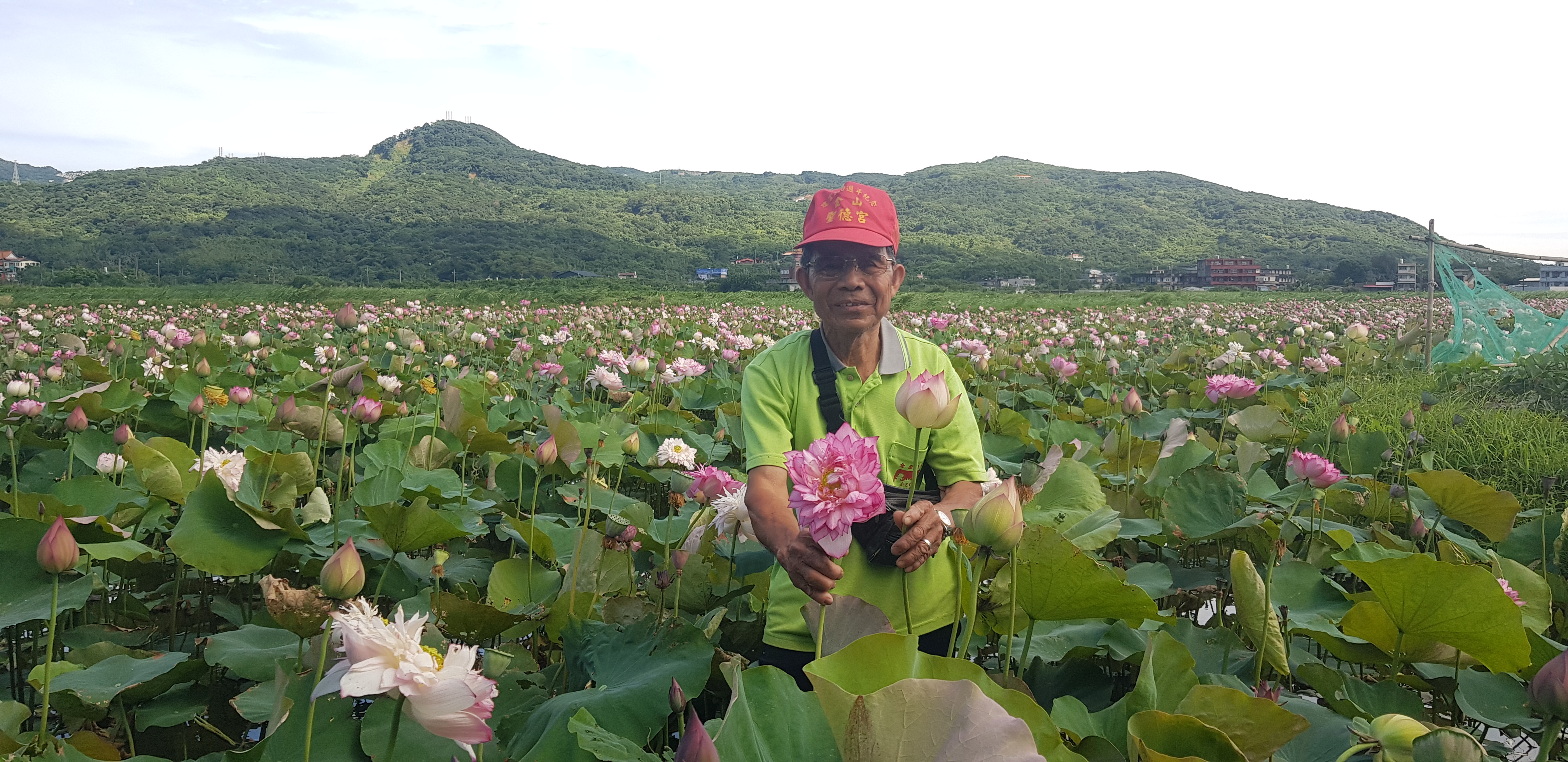 黃阿伯與他栽種的友善荷花(張先生拍攝)
