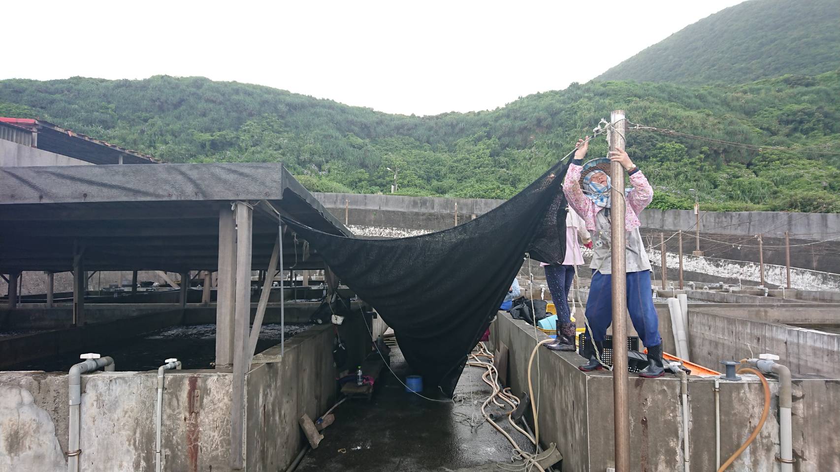 養殖戶防颱整備